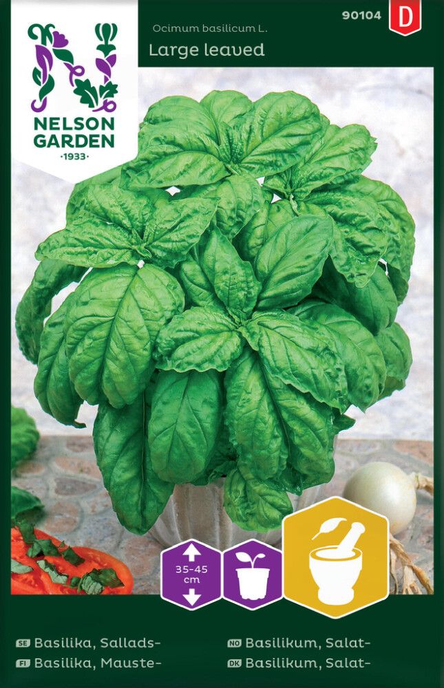 Basiilik Large leaved