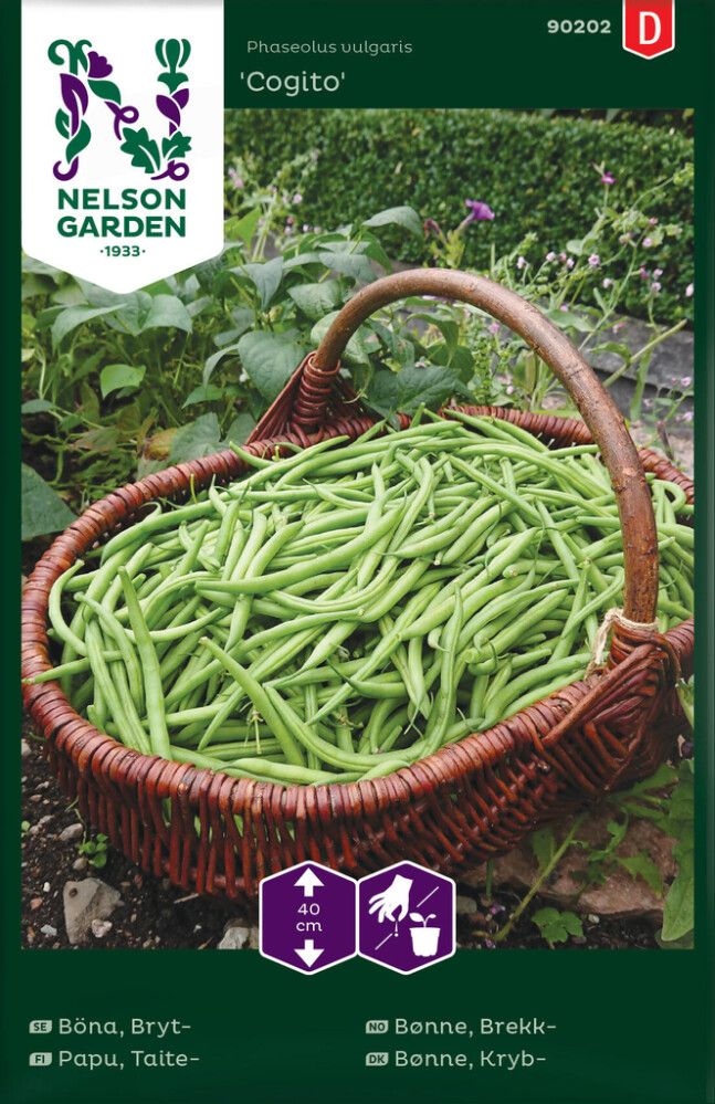 Harilik aeduba Nelson Cogito