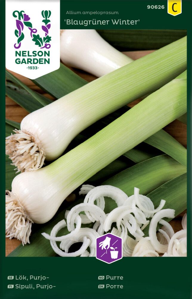 Porrulauk Blaugrüner Winter