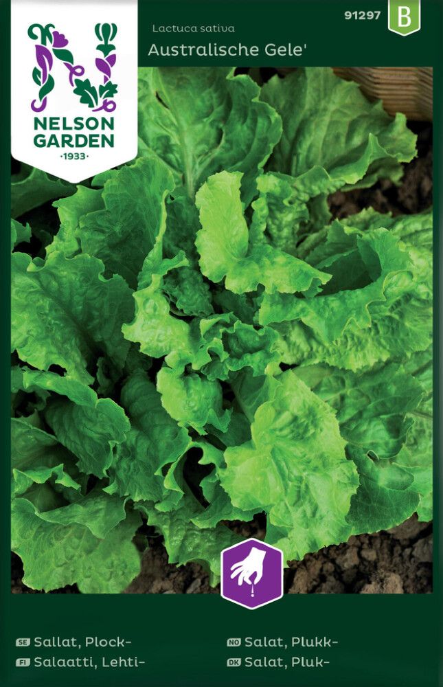 Lehtsalat Australialainen Gele seemnelindil