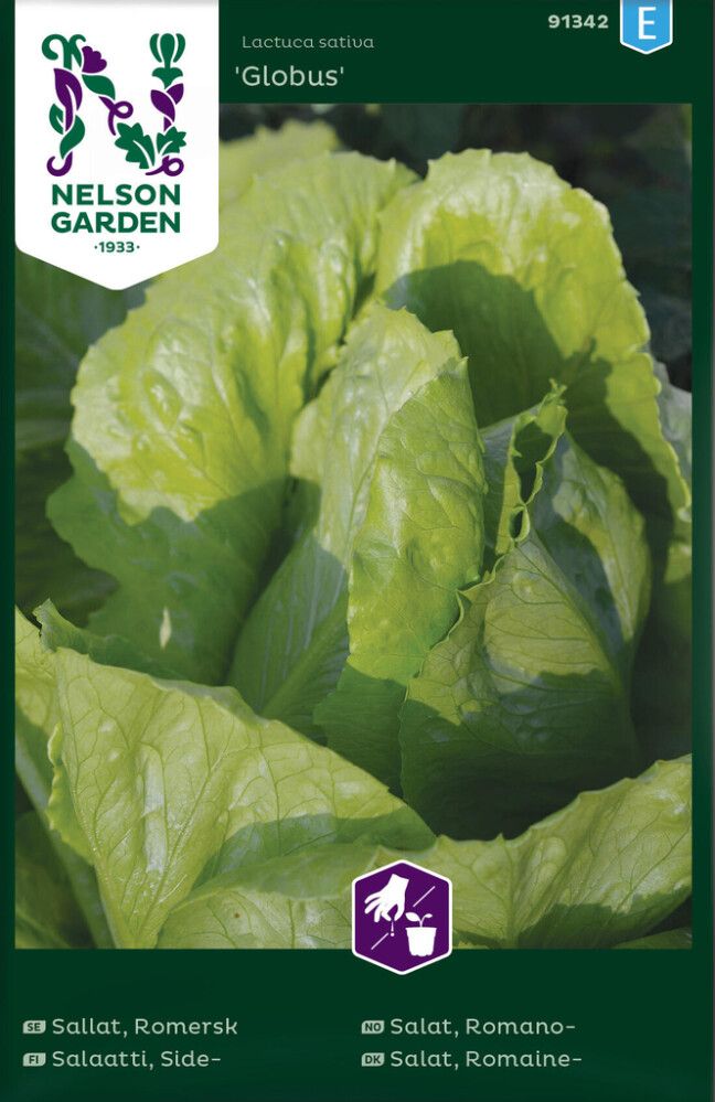 Lehtsalat Globus