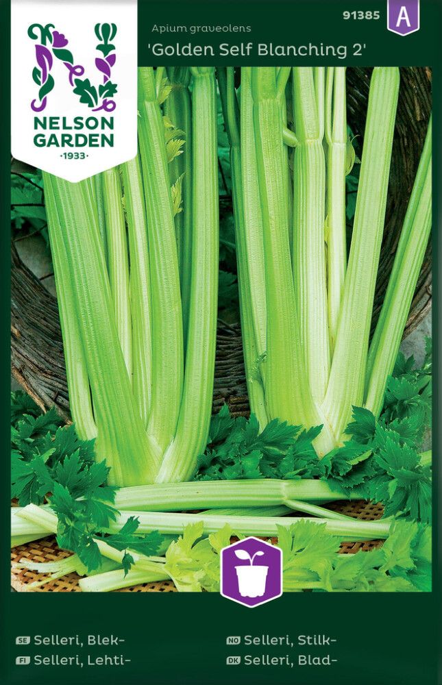 Varsseller Golden Self Blanching 2