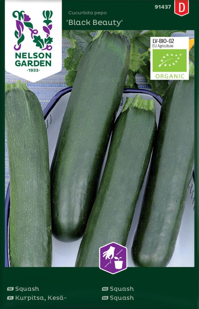 Suvikõrvits Black Beauty