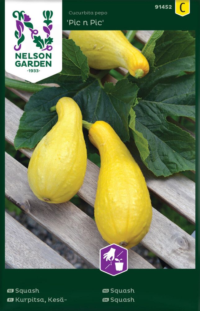 Suvikõrvits Pic n Pic