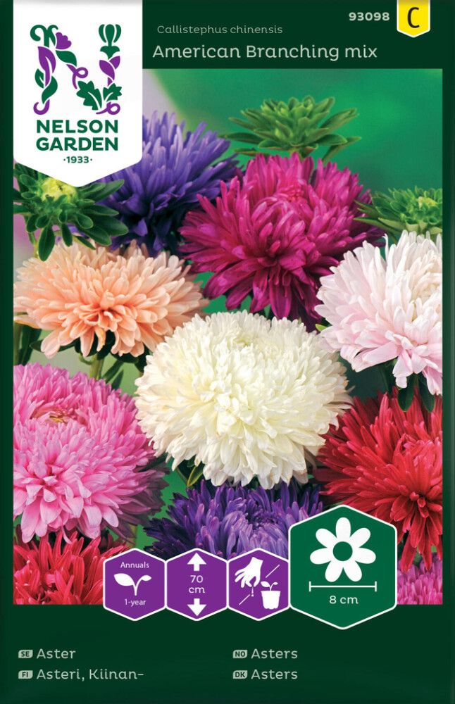 Hiina aedaster American Branchig mix