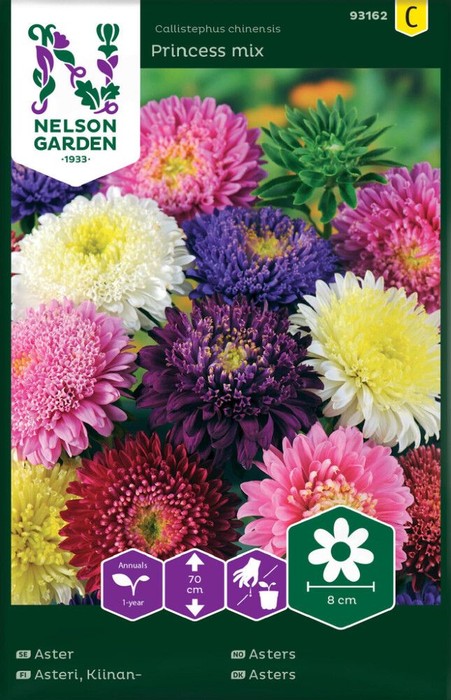 Hiina aedaster Princess mix