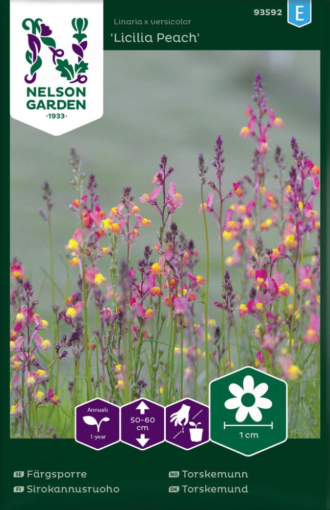 Käokannus Nelson Licilia Peach