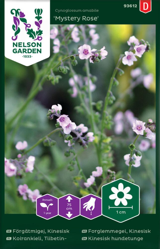 Aedrass Mystery Rose