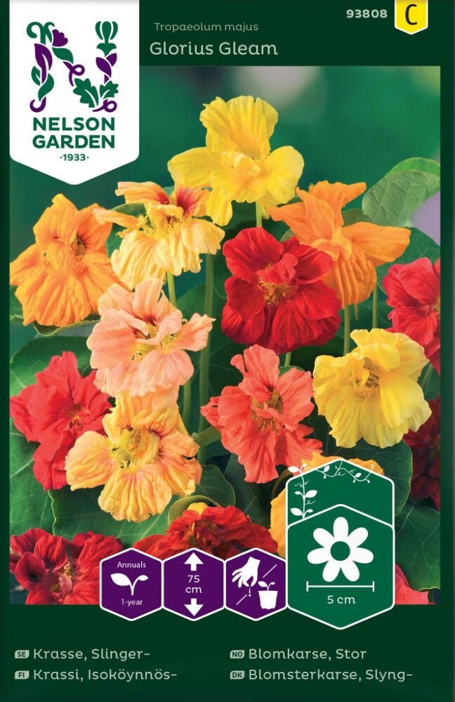 Suur mungalill Glorious Gleam