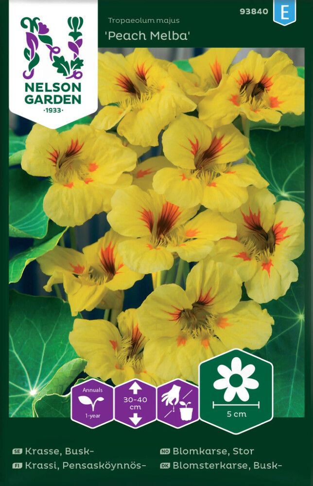 Suur mungalill Peach Melba