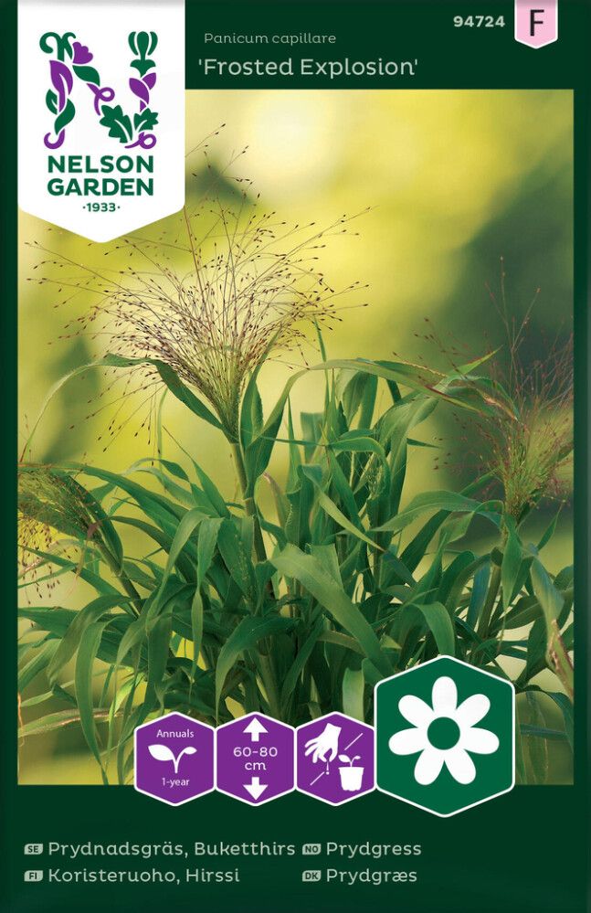 Paelhirss Frosted Explosion