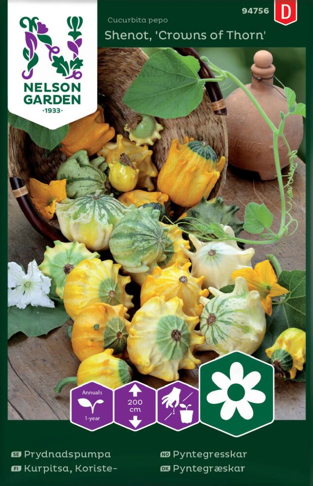 Dekoratiivkõrvits Crowns of Thorns