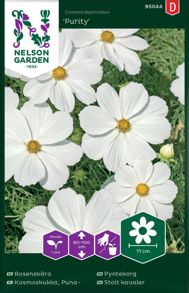 Harilik kosmos Purity