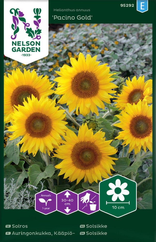 Harilik päevalill Pacino Gold