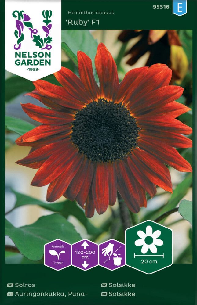 Harilik päevalill Ruby F1