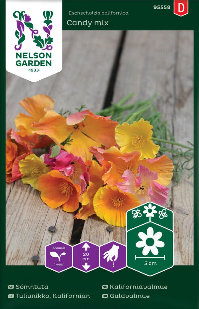 Kalifornia läänemagun