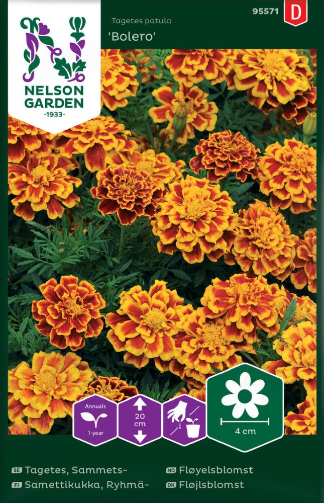 Madal peiulill Bolero