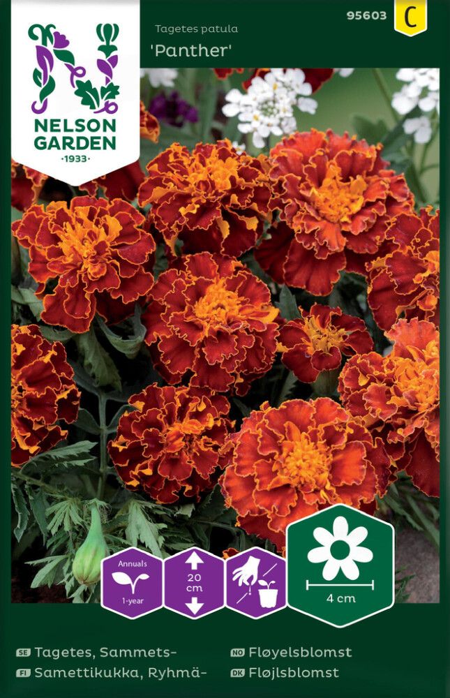 Madal peiulill Panther