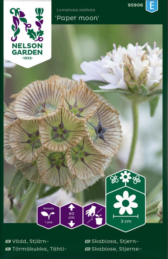 Hurmeline tähtpea Paper Moon