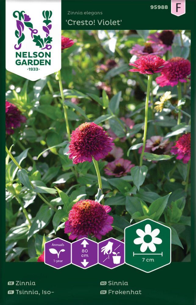 Pruudisõlg Cresto Violet