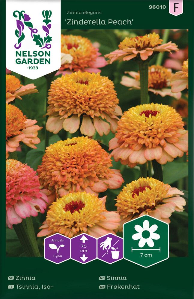 Pruudisõlg Zindarella Peach