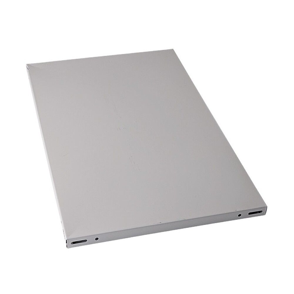 Riiuliplaat Regalux VZ 50 x 80 cm, hall