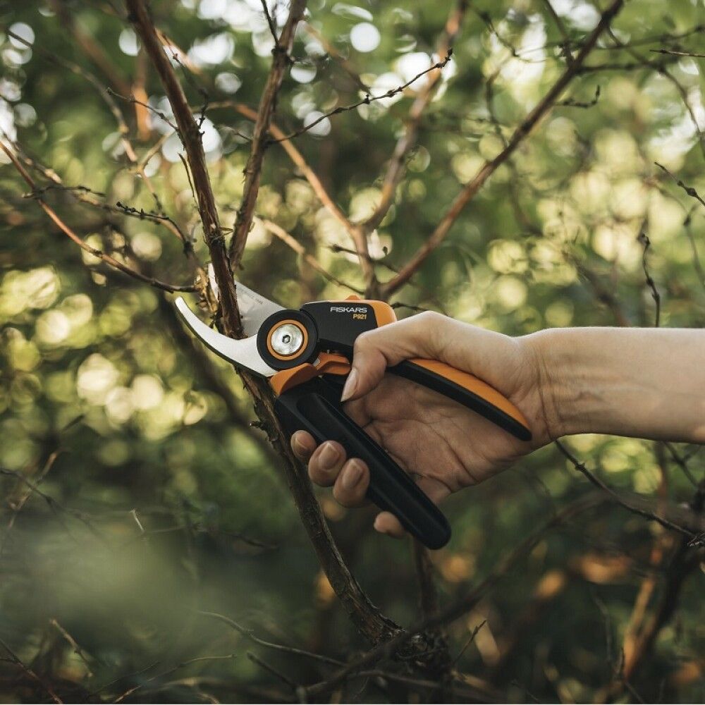 Oksakäärid Fiskars alasiga XPG M