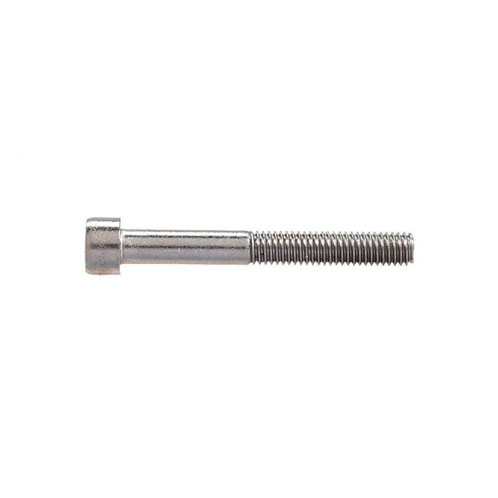 Sisekuuskantpoldid Profi Depot DIN912 A2, 6 x 30 mm, 100 tk