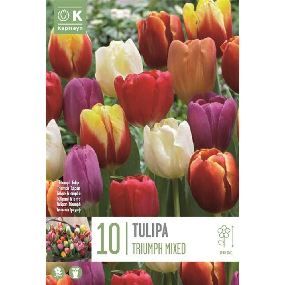 Tulp Triumph Mix 10 tk