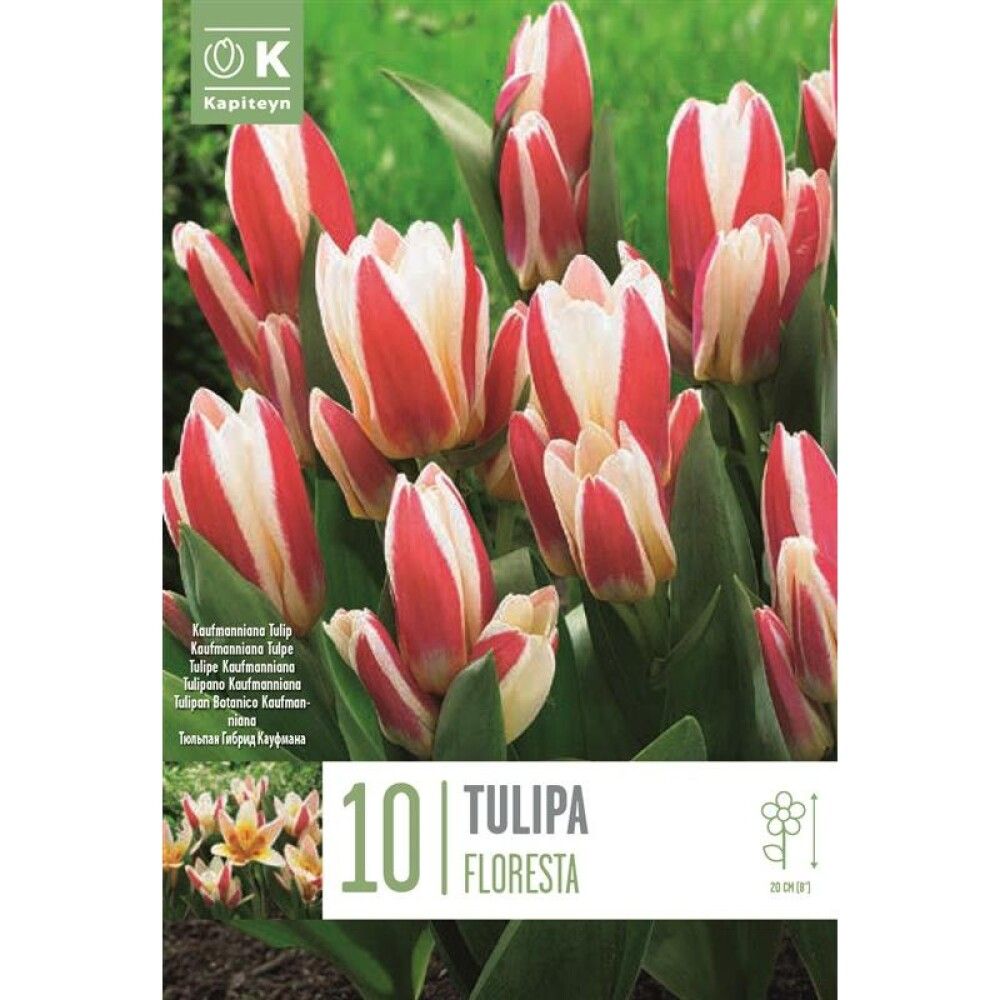 Tulp Floresta 10 tk