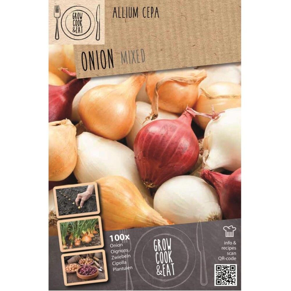 Sibulate Kapiteyn mix 100 tk