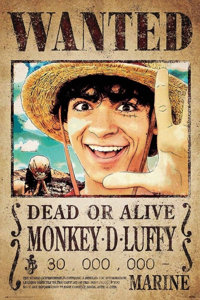 Poster ReindersOne Piece - wanted monkey d. Luffy  082
