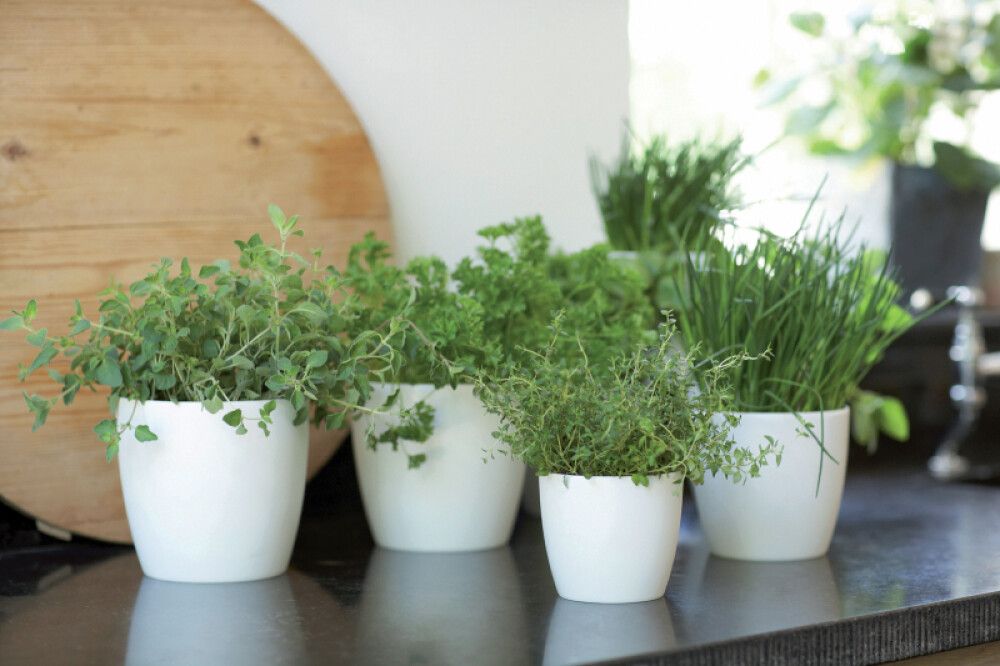 Ümbrispott Brussels Ø 14 cm