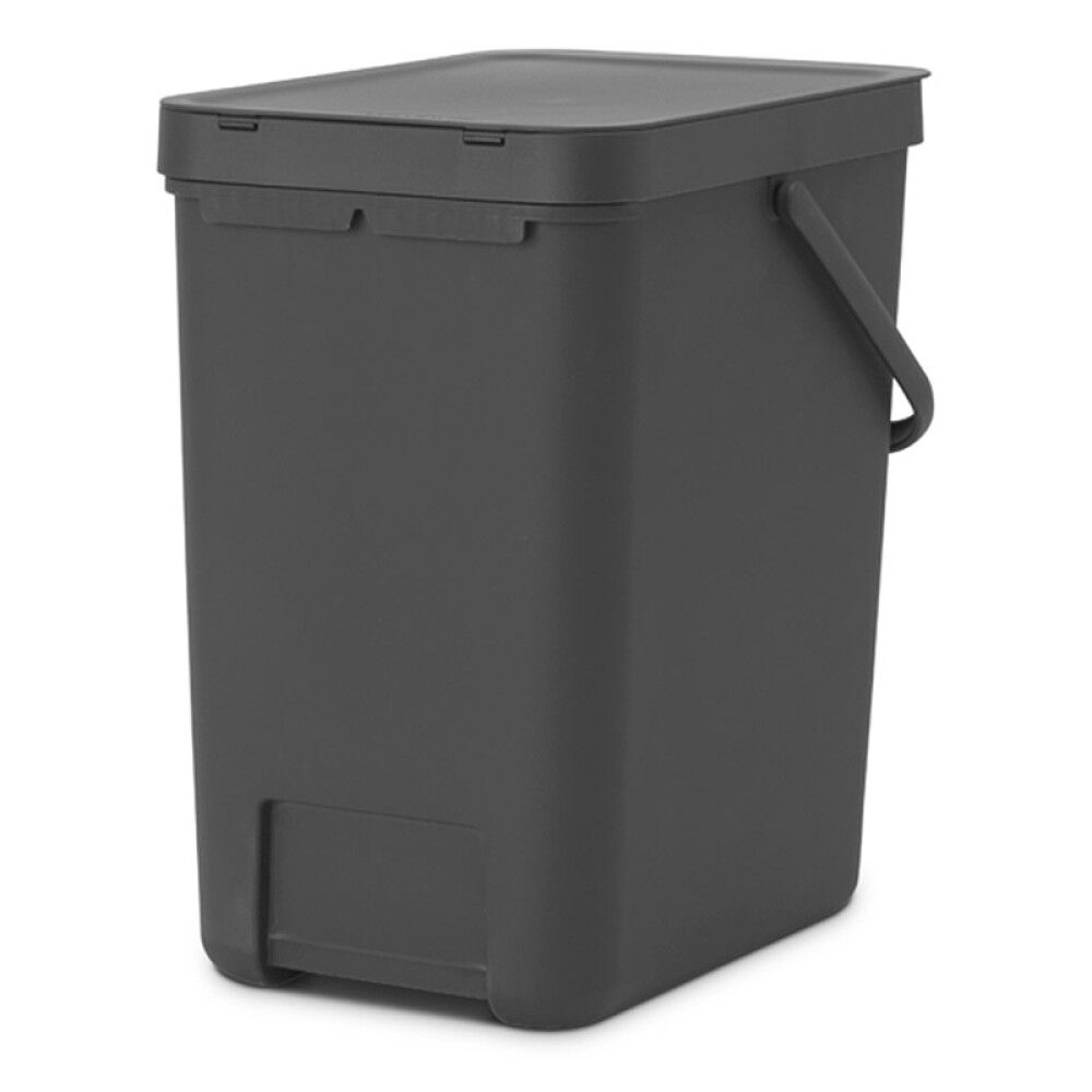Prügikast Brabantia Sort&Go 25 l, hall