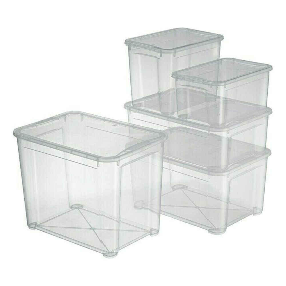Säilituskast Regalux Clear Box  55 x 39 x 42 cm