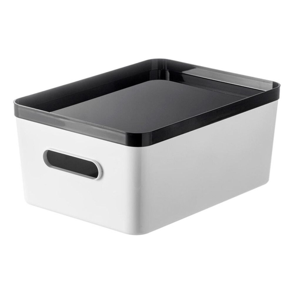 Kaas SmartStore Compact säilituskarbile L hall 40 x 29,5 x 2,6 cm