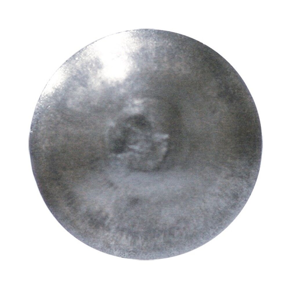 Puidupoldid Profi Depot A2, DIN603, 8 x 60 mm, 30 tk