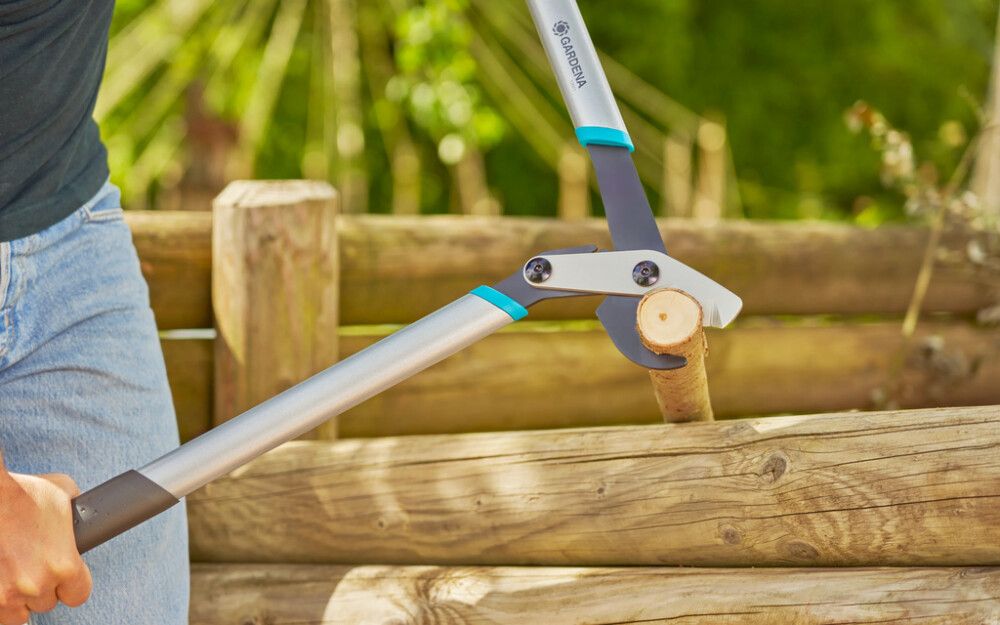 Oksatangid Energycut Basic