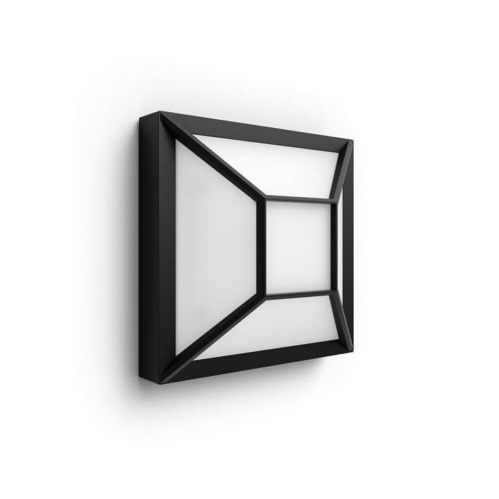 Välisvalgusti Drosera