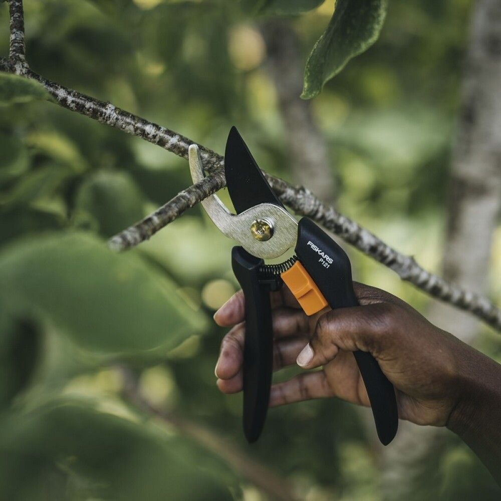 Oksakäärid Fiskars Solid