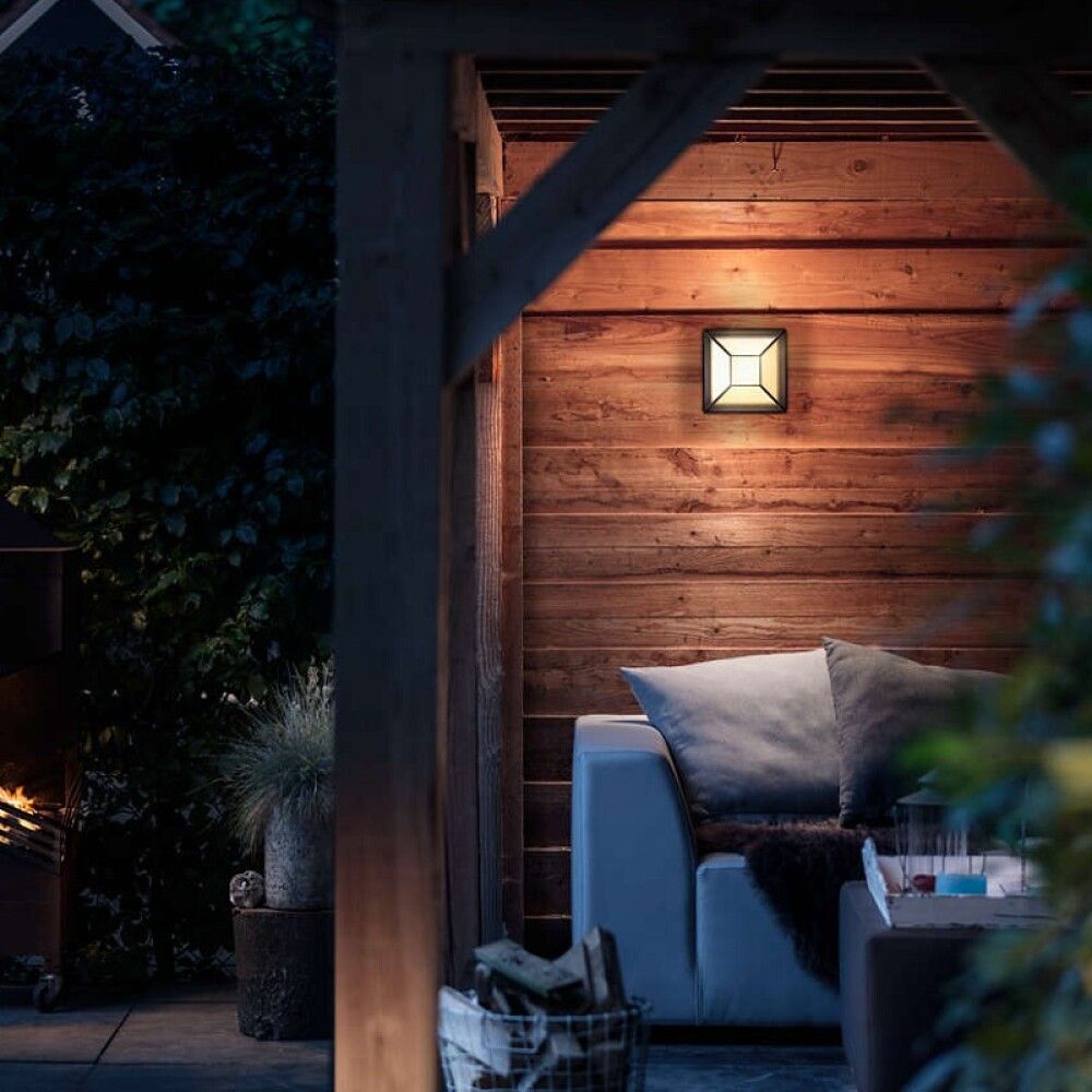 Välisvalgusti Drosera