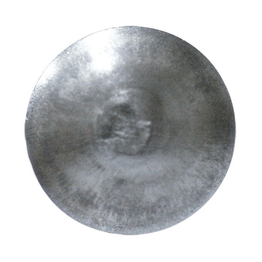 Puidupoldid mutriga Profi Depot ZN, DIN603, 5 x 50 mm, 100 tk