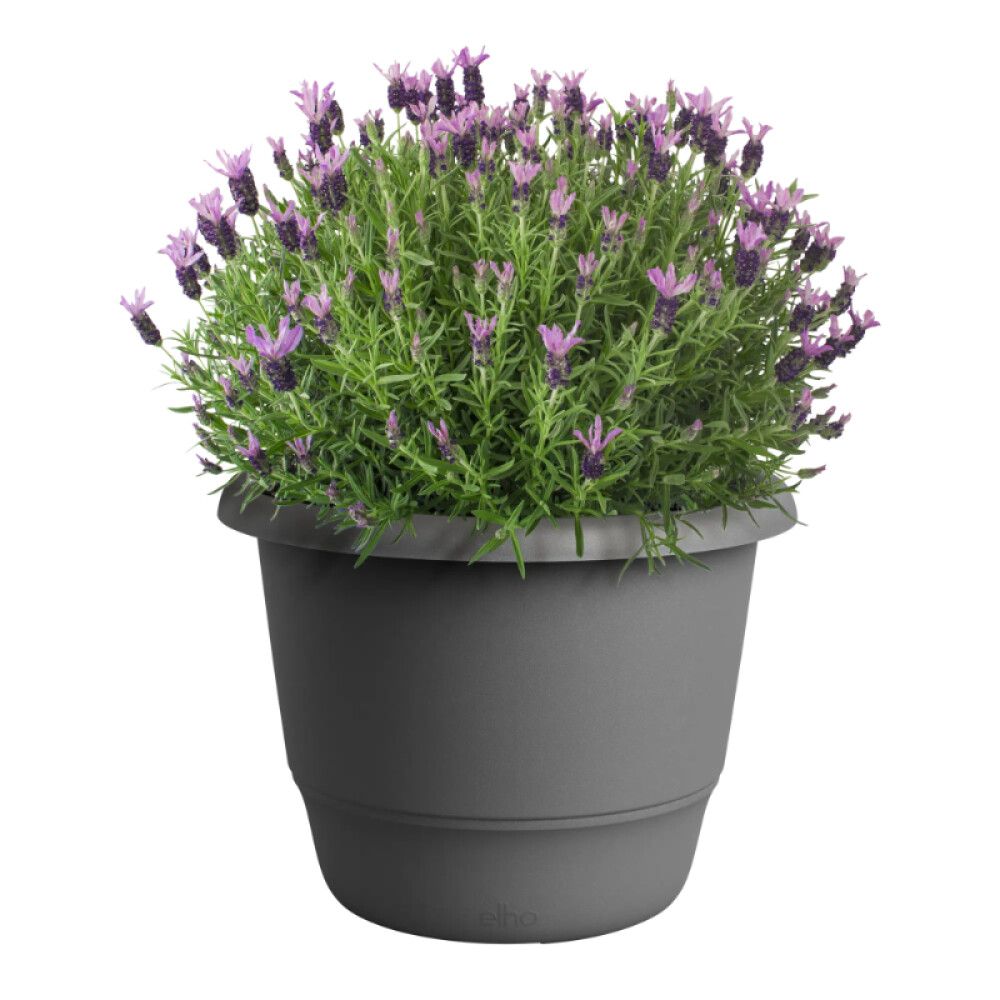 Õuepott Elho Amiga Ø 40 cm, antratsiit