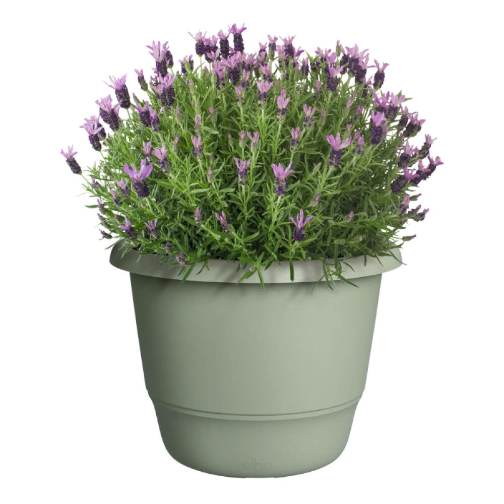 Õuepott Elho Amiga Ø 35 cm, tüümiani roheline
