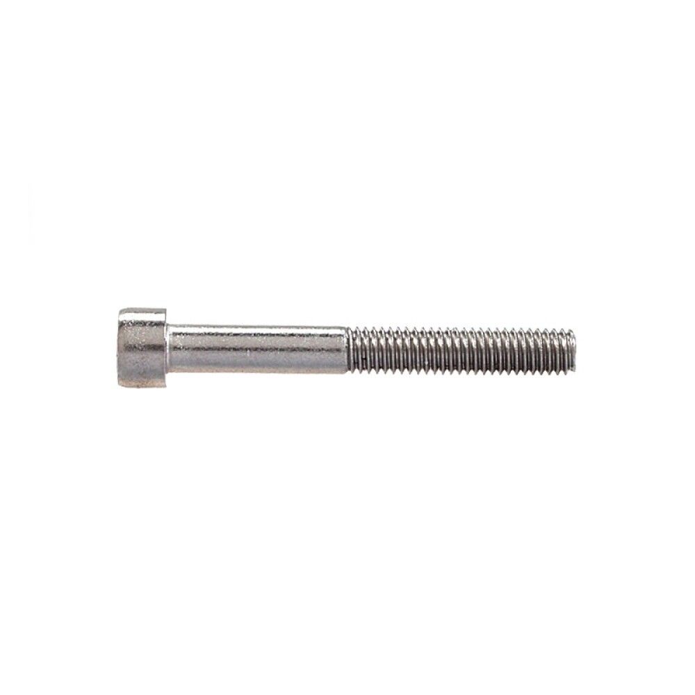 Sisekuuskantpoldid Profi Depot DIN912 A2, 8 x 50 mm, 50 tk
