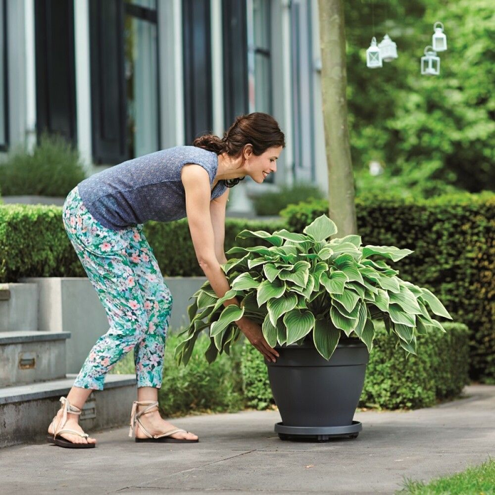 Lillealus ratastel Elho Universal