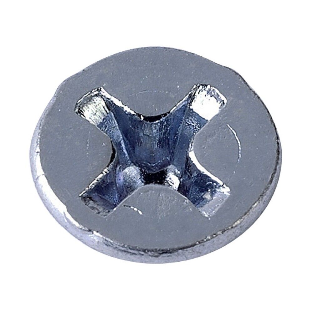 Metallikruvid PH 3 x 10 mm 100 tk