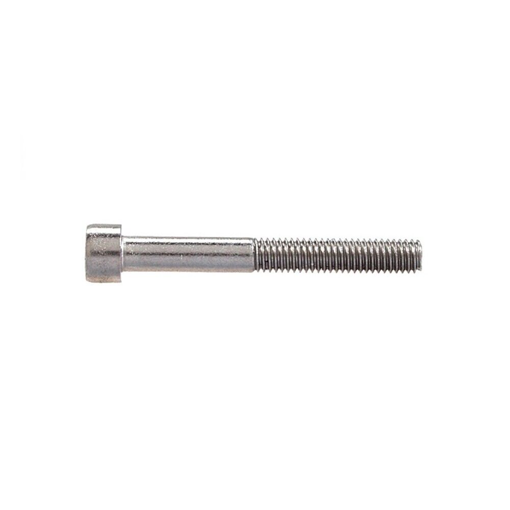 Sisekuuskantpoldid Profi Depot DIN912 A2, 6 x 16 mm, 100 tk