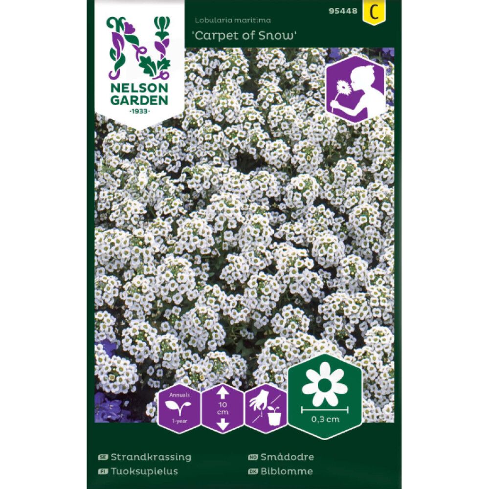 Kivikilbik Carpet of Snow