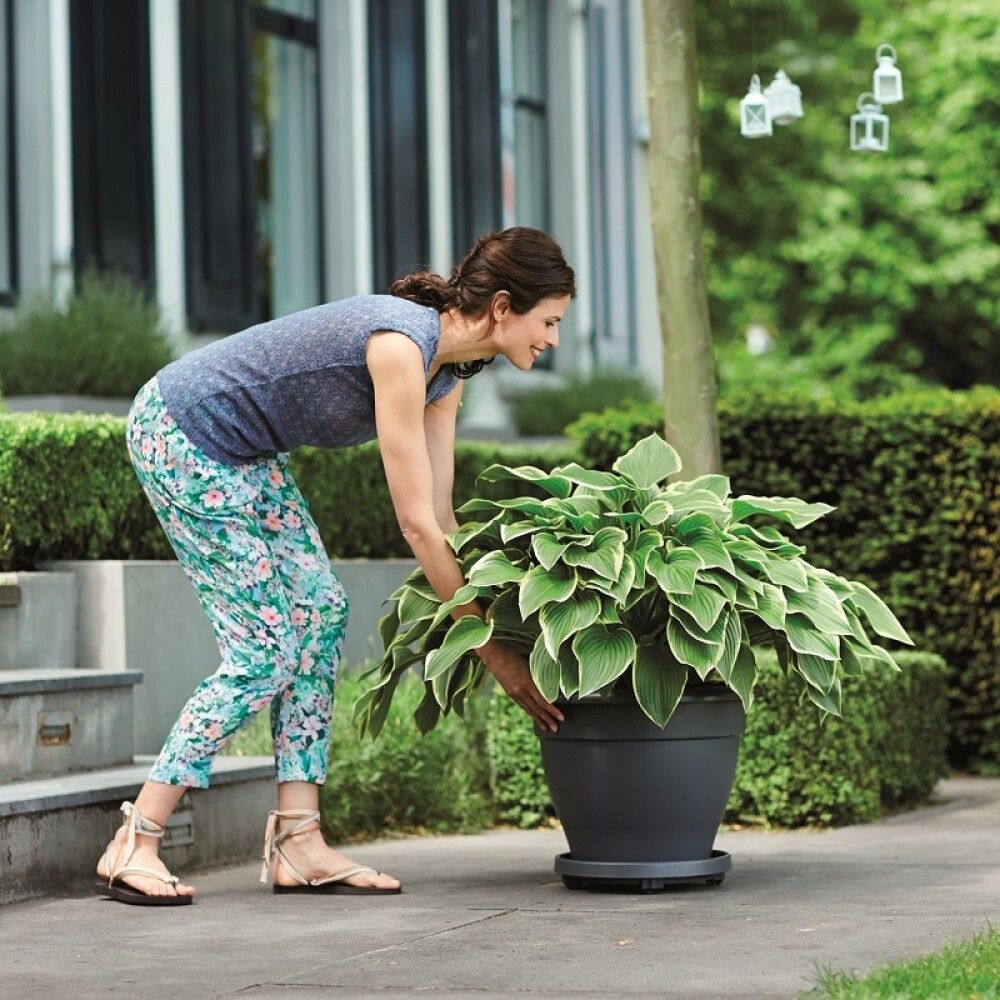 Lillealus ratastel Elho Universal